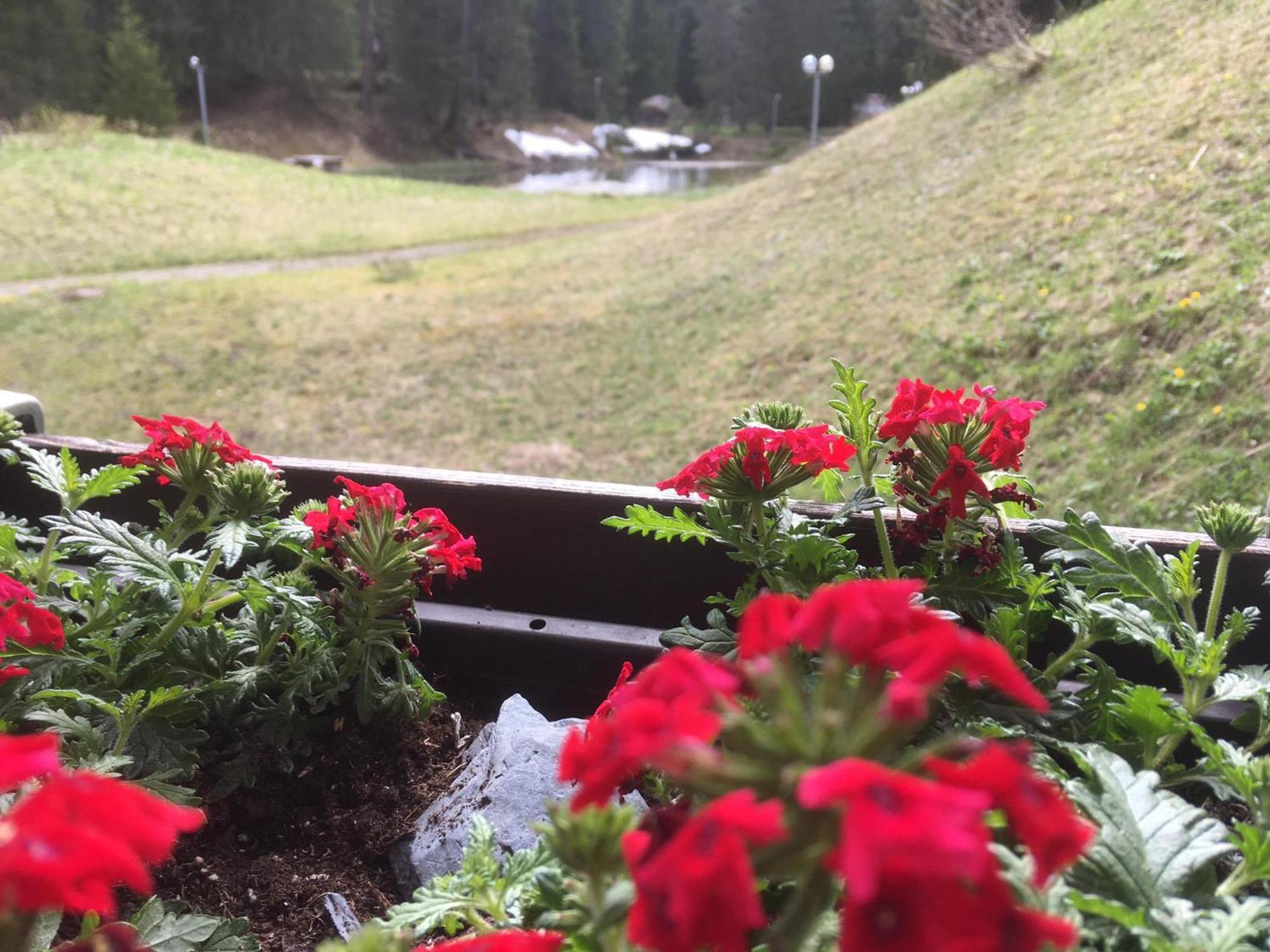 Rothornblick Arosa Exterior foto